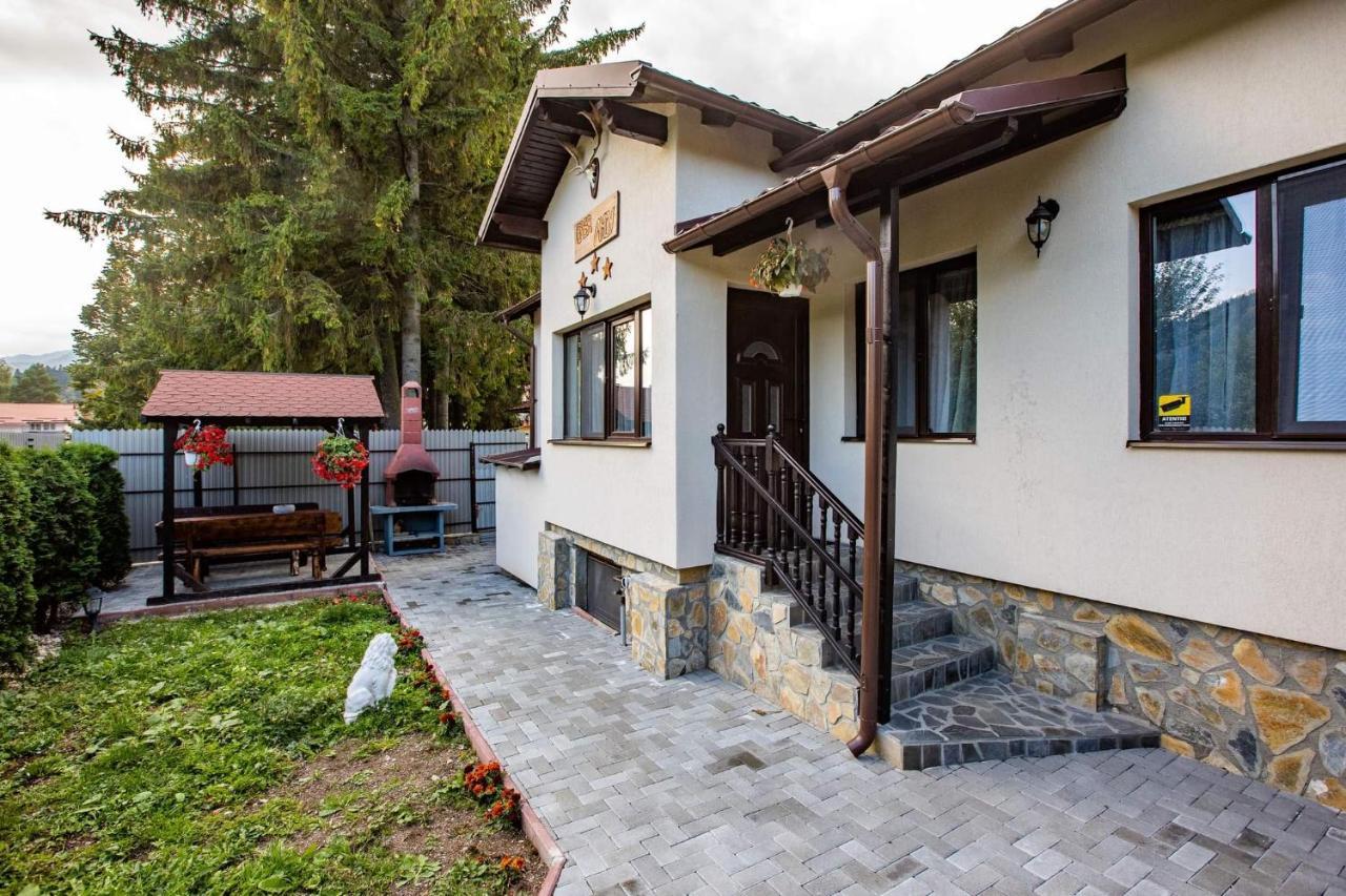 Casa Andy Hotel Busteni Ngoại thất bức ảnh