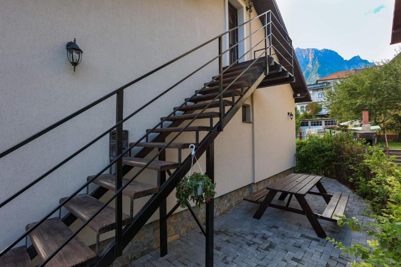 Casa Andy Hotel Busteni Ngoại thất bức ảnh
